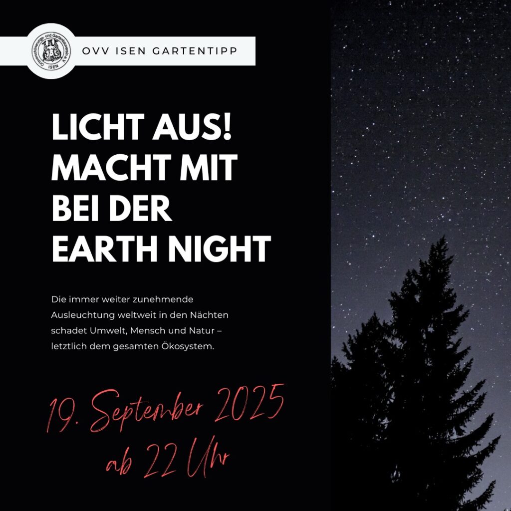 Licht aus! Macht mit bei der Earth Night